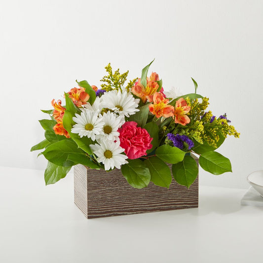 Oopsie Daisy Box Bouquet